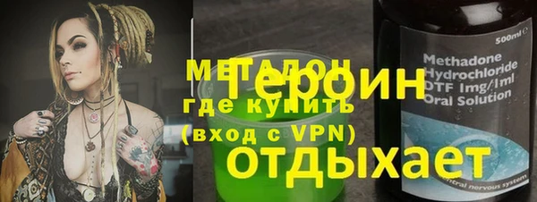 индика Няндома