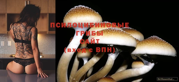 амфетамин Сясьстрой