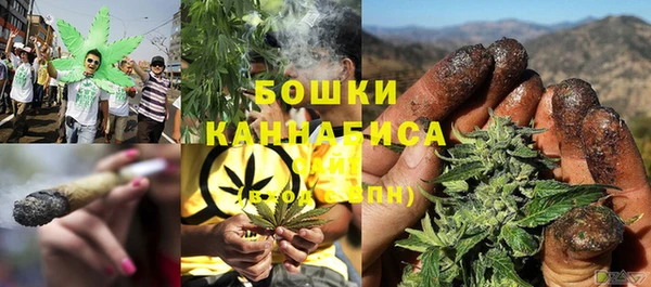 PSILOCYBIN Тайга