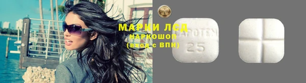 PSILOCYBIN Тайга