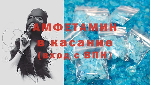 PSILOCYBIN Тайга