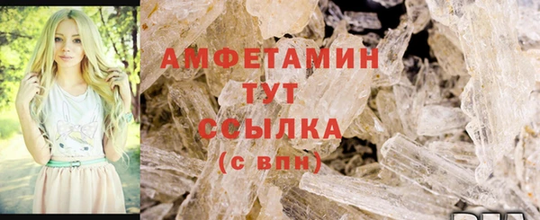 PSILOCYBIN Тайга