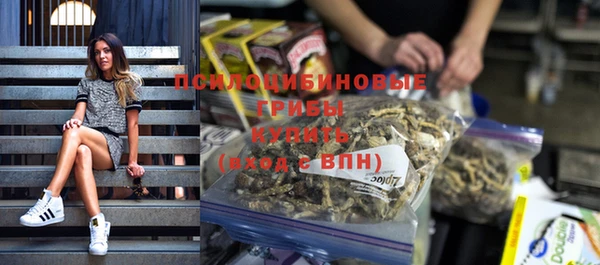 PSILOCYBIN Тайга
