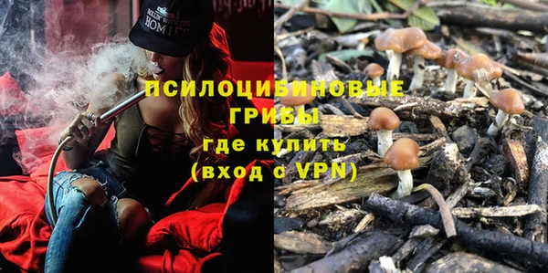молекула духа Тавда