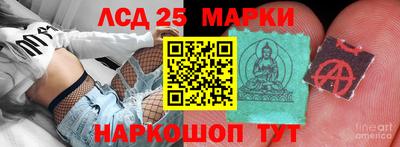 твердый Камышлов