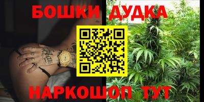 гидра Кандалакша