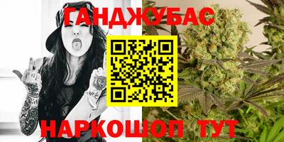 гидра Кандалакша