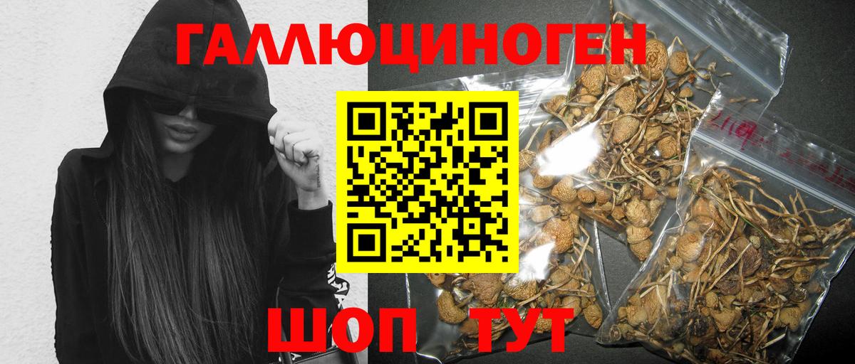 где купить наркоту  Урай  Псилоцибиновые грибы прущие грибы 