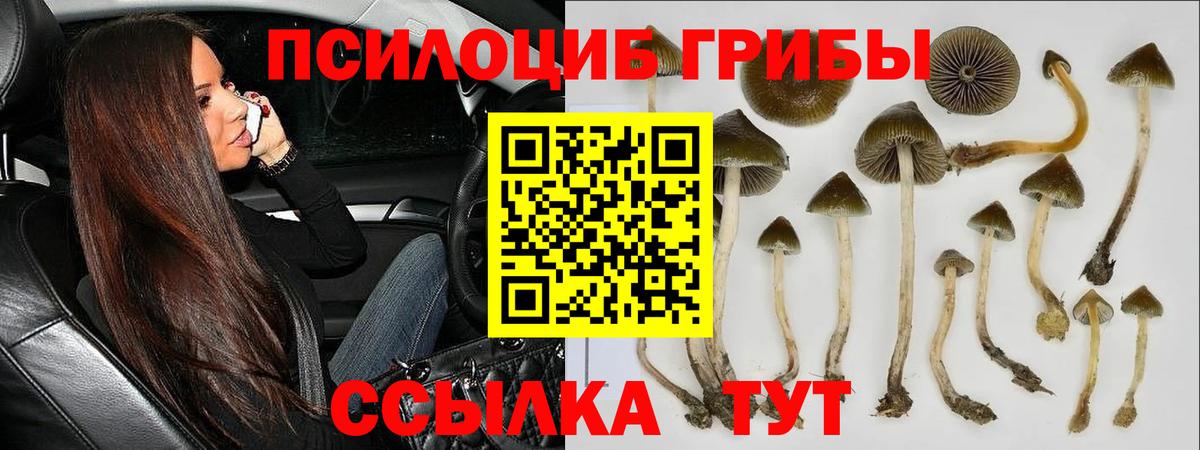 Псилоцибиновые грибы ЛСД Урай