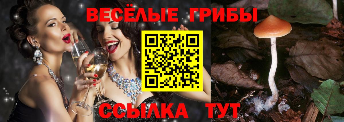 Галлюциногенные грибы MAGIC MUSHROOMS  Вход с VPN  Урай 